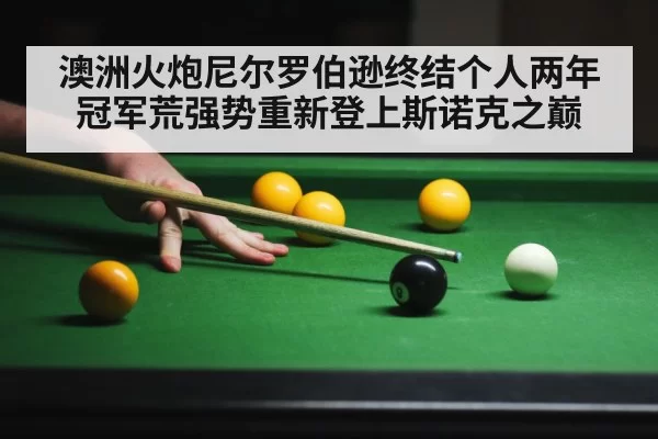 澳洲火炮尼尔罗伯逊终结个人两年冠军荒强势重新登上斯诺克之巅